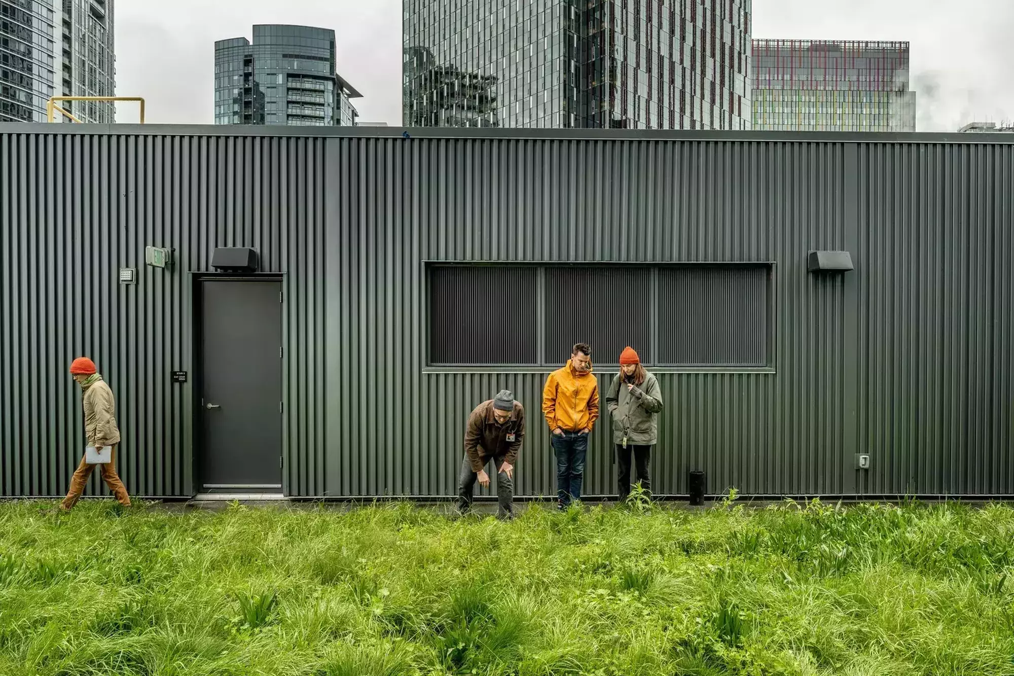 06212023 grow 170433