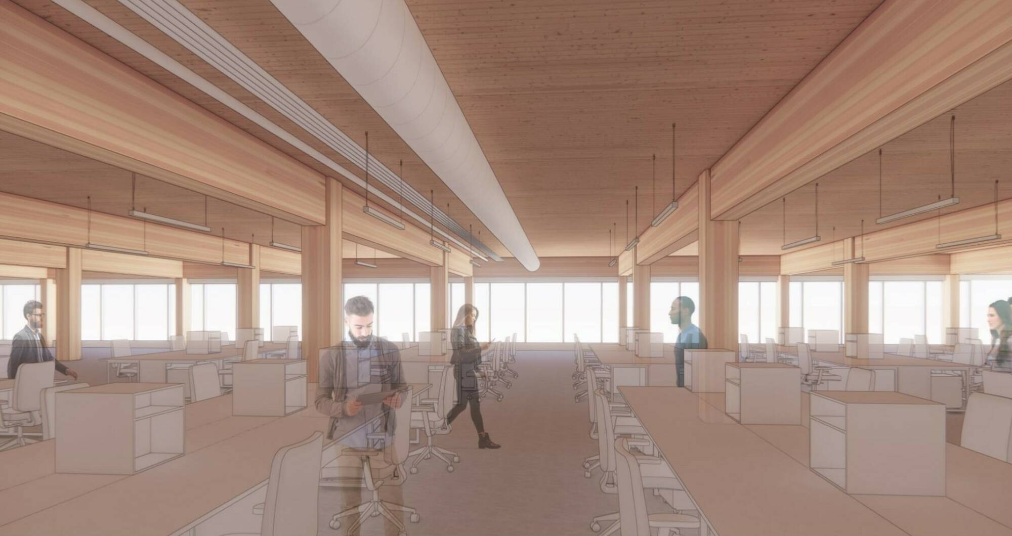 Vnb37 MT perspective