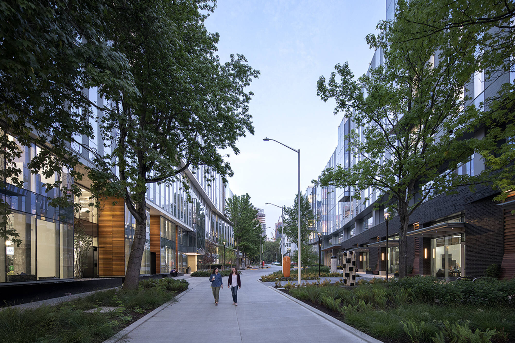 Vnab P 011 Lo Bittermann