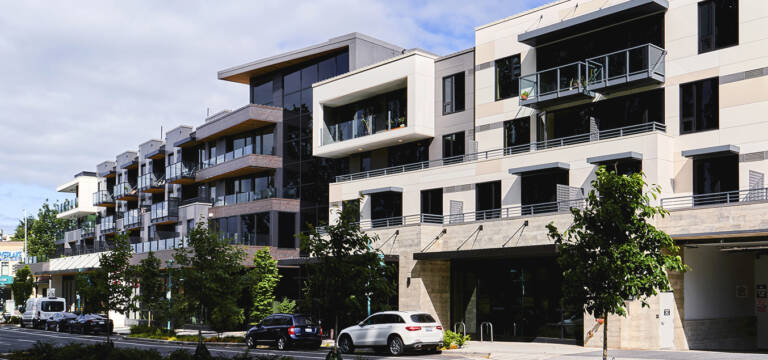 Parque P 057 Lo Eden Project Bleed